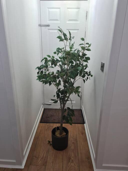 Lovely 2 Bedroom Garden Flat In Trendy West End Glasgow Ngoại thất bức ảnh